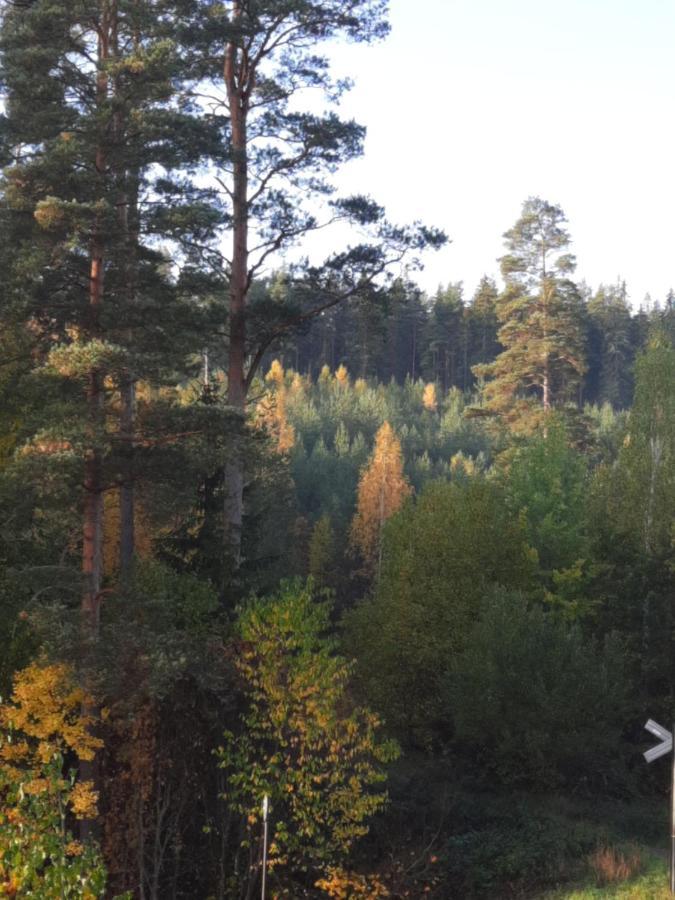 Aelghuset Silverdalen Exterior photo